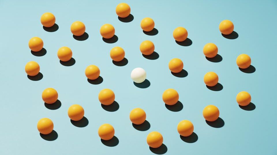 10 Best Money Market Mutual Funds Of 2023